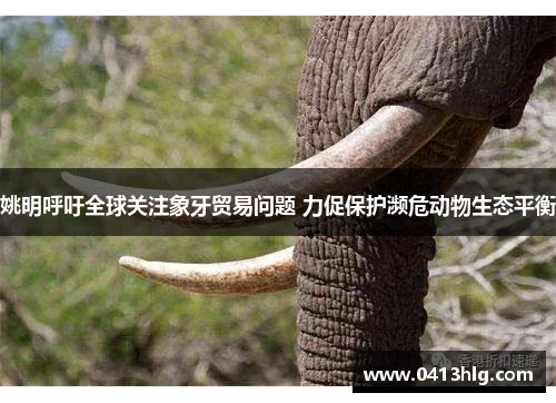 姚明呼吁全球关注象牙贸易问题 力促保护濒危动物生态平衡