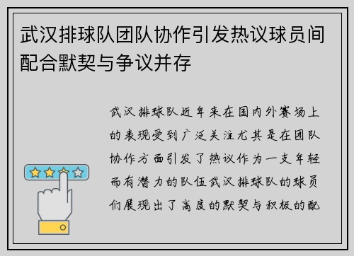 武汉排球队团队协作引发热议球员间配合默契与争议并存